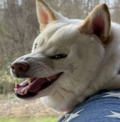 家族旅行の車内で“満面の笑み”を見せたゆき丸くん／ゆきあずさん（@yukiazu09300725）提供