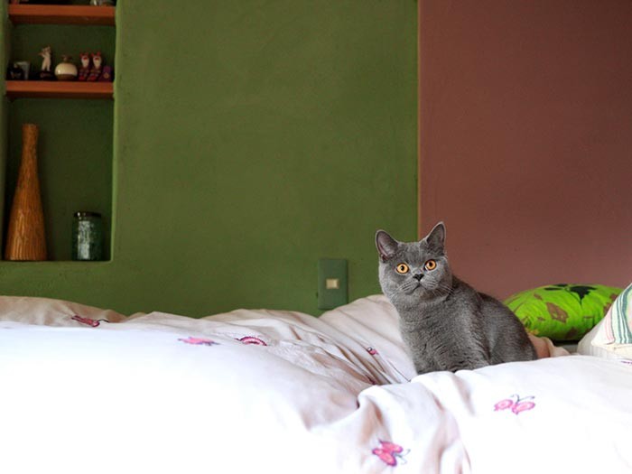 ここは南仏なのか？グラン自慢の家