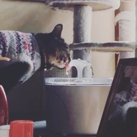 なんでも一番にチャレンジするわさびちゃん