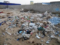 アフリカはプラごみ規制の先進国になれるか