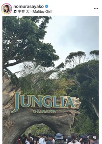 野村彩也子アナウンサーのインスタグラム＠nomurasayakoより