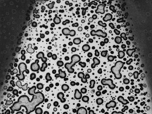 家を出る者たち　「偶然の家族」映り込む時代　鴻巣友季子〈朝日新聞文芸時評23年2月〉