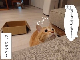 生きてるだけで福があるってもんよ　豆まきに挑戦した愛猫ぐっぴーの反応は？