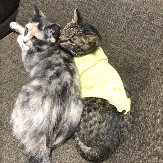 大好きなロゼちゃんに寄り添って