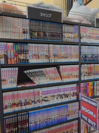 カテゴリ棚まで日本語のまま！（提供：でめきんさん）