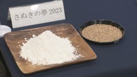 「さぬきの夢2023」うどん味わいキャンペーン　11月に香川県7店舗で100％使用うどんを提供