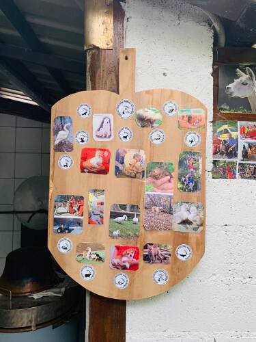 施設内は暖かみのある展示がたくさん。古いけれど、動物を愛する工夫がたくさん