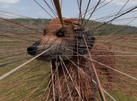 少しずつ細くなってきました