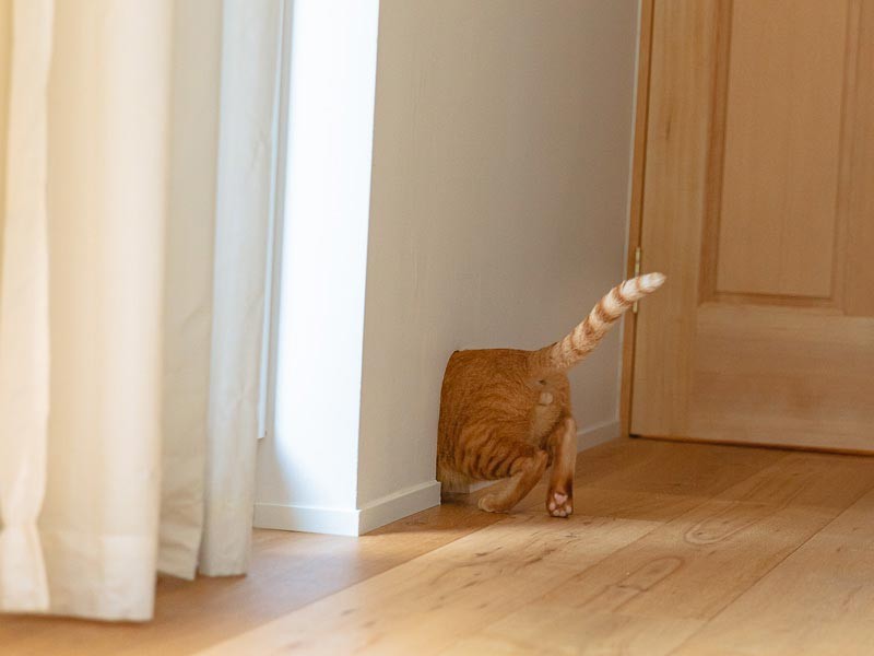 そして、さようならー