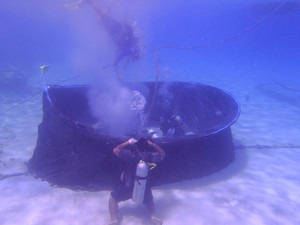 「情報が筒抜けに」　海底ケーブルでも「中国排除」鮮明にしたアメリカ