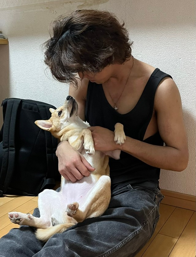 お兄ちゃんたちもふぅちゃんがかわいくて仕方ない様子