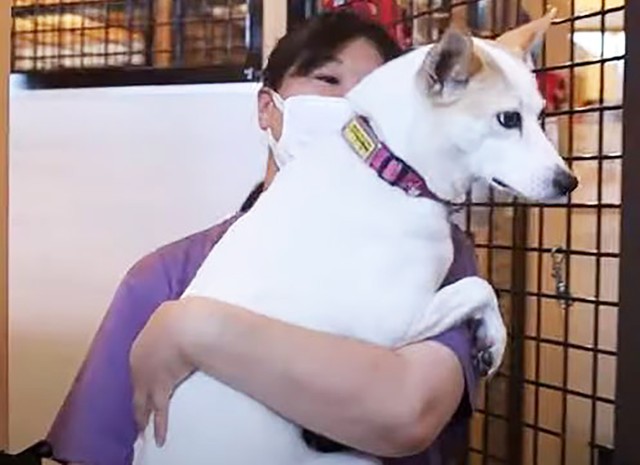 スタッフに抱きかかえられても嫌がらないモーリー