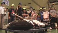 夏休み中の子どもたちが競りなどを見学　仙台市中央卸売市場