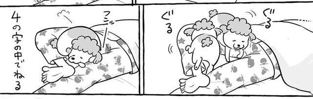 寝るのにぴったり♪（提供：松本ひで吉さん）