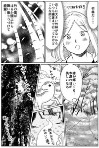 【漫画】『半径100km以内でダーツの旅をやってみた話』8©Miwa Kamata
