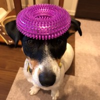 雨谷さんに教えてもらい「のせのせ」ができるように！