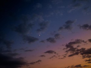 仕事を7か月休んで気づいた。いつも多数派に属し、他人軸で生きてきた