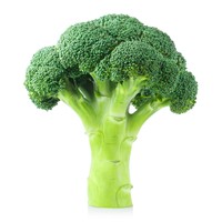 ブロッコリー　※画像はイメージです（Yeti Studio/stock.adobe.com）