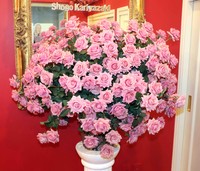 假屋崎省吾の自邸に美しい春の花々が生けられている