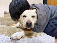 「愛が重い」 目を細めてフリーズするロキくん（画像提供：ロキの相方さん）