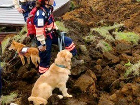 災害救助犬など被災地へ派遣　佐賀県が誘致したＮＰＯ　熊本地震