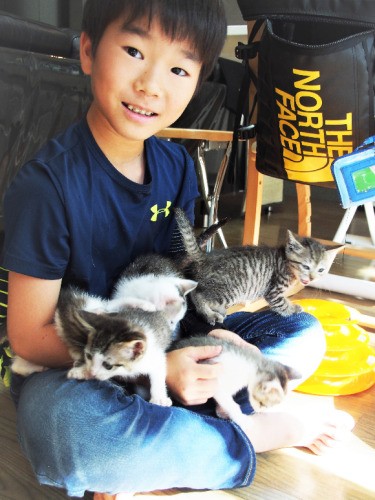 膝の上の特等席は大人気