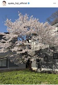 藤あや子インスタグラム＠ayako_fuji_officialより