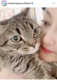 藤原紀香インスタグラム＠norika.fujiwara.officialより