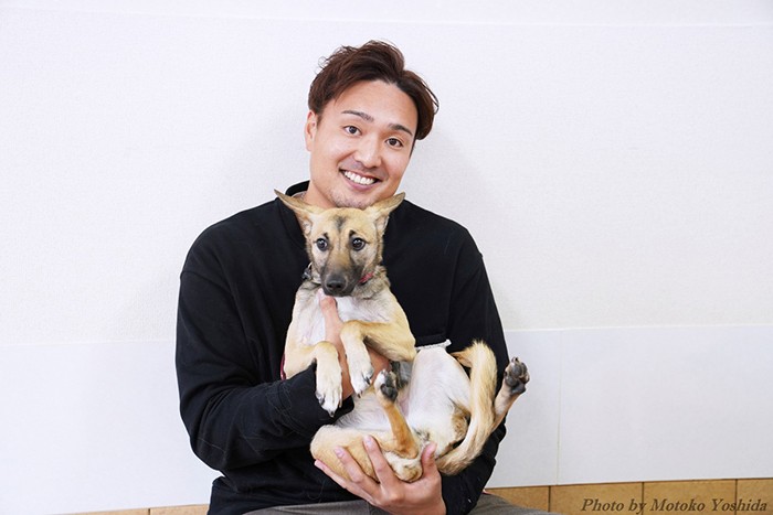 現在譲渡募集中の「ハイジ」ちゃん。野犬出身。ハイジが保護された兵庫県の六甲山は、もと飼い犬の迷い犬や捨てられたと思われる犬たちのコミュニティがあり、子犬が保護されることも少なくないそう