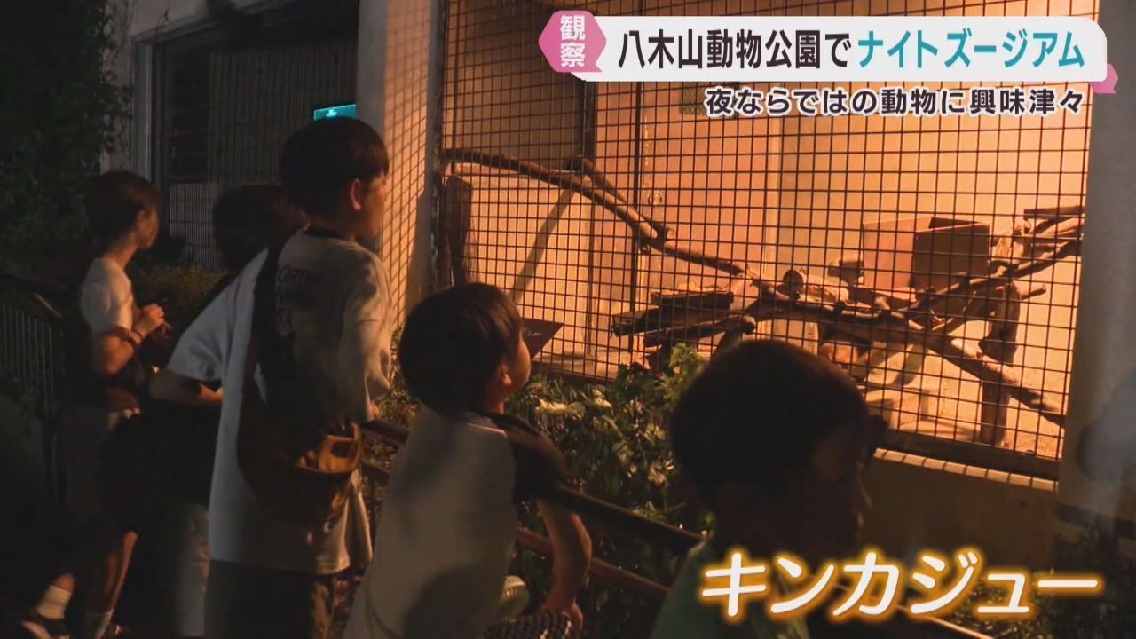 夜の動物たちを観察できるナイトズージアム　仙台・八木山動物公園