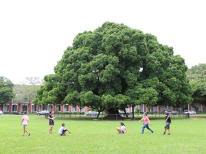 その名にあやかり受験「成功」を祈る　台湾の英雄、鄭成功の記念品は売り切れ必至
