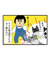 【漫画】『自称ボス猫VS最強猫！結果は…！？』12（まんぼう！さん提供）