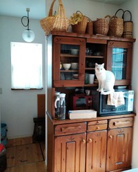 浮いているように見えますが、乗っています