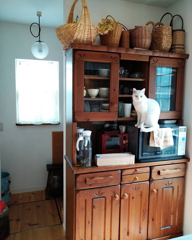 浮いているように見えますが、乗っています