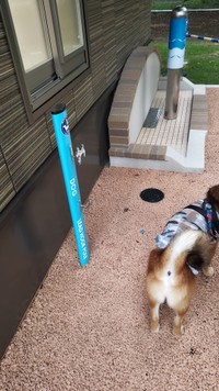 リードをかけておくフックも（オッキーさん提供）