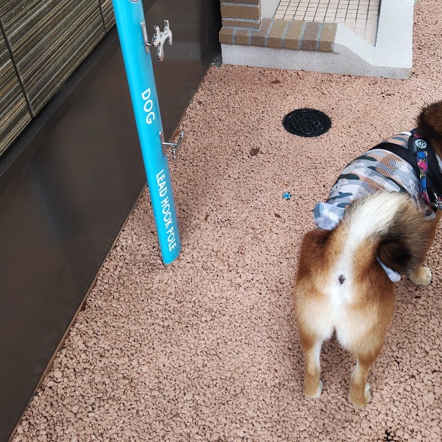 リードをかけておくフックも（オッキーさん提供）