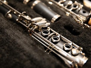 夢を追う私も立ち止まる私もいるから、自分を根っこから否定しないで