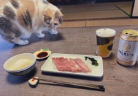 富山県朝日町は「魚介が美味しい」のも魅力（提供：なつめ さん）