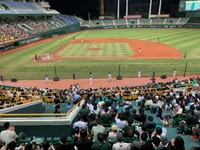 台鋼ホークスの試合風景