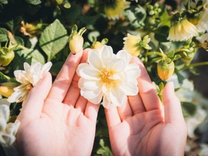 飲みに行こうと誘っても「家にいるー」と断る父だけど、私は大好きだよ