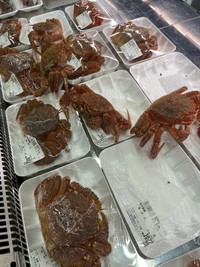 直してもまた破ってしまうため、そのままだそうです。