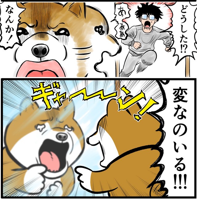 鏡に映る自分に困惑を隠せないケンちゃん（夢窓かずみさん提供）