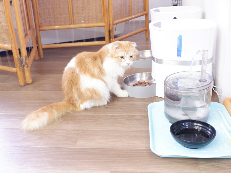 給餌器や給水器を設置し、世話にかかる負担を軽減