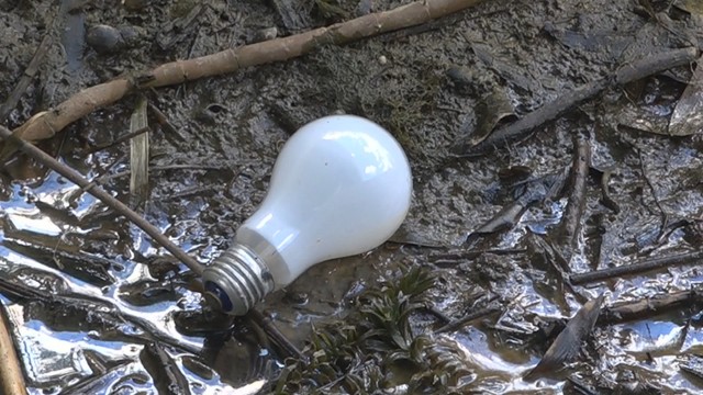 川に投げ入れられた電球