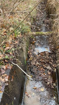 木の葉が浮かんだ水面がギラギラしてる……もしかして「油」！？（動画からキャプチャー／提供：小林成彦｜見習い猟師カメラマン さん）