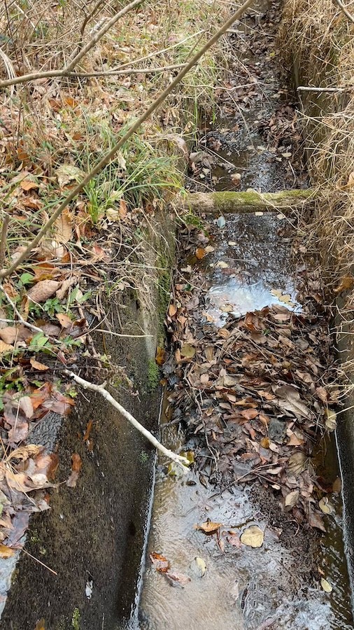 木の葉が浮かんだ水面がギラギラしてる……もしかして「油」！？（動画からキャプチャー／提供：小林成彦｜見習い猟師カメラマン さん）