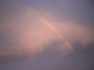 わたしは、呼吸をするように、いとも簡単に嘘をはく