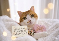 ビフォーアフター姿に多くのいいねが。かわいいハートの飾りと造花とともにDecoくんからのお礼のメッセージ（画像提供：ようめいさん）