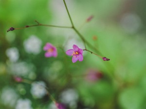 その一言が魔法。「かわいい」はいつでも私を夢見心地にさせてくれる