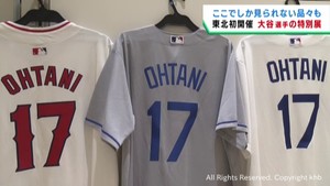 大谷翔平選手の貴重なグッズを集めたイベント　仙台・青葉区で東北初開催